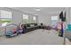 Spacious bonus room with plush carpeting and an abundance of natural light from multiple windows at 2012 Sweet Samson St, Wake Forest, NC 27587