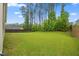 Expansive, well-manicured backyard with lush green grass and mature trees, perfect for outdoor activities at 247 Axis Deer Ln, Garner, NC 27529