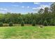 Lush backyard featuring a green lawn, mature trees and partial fence at 260 Amber Acorn Ave, Raleigh, NC 27603