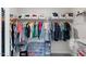 Well-organized walk-in closet featuring clothing racks, shelves, and shoe storage at 260 Amber Acorn Ave, Raleigh, NC 27603