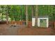Private backyard with shed, mature trees, string lights, wooden fence, and a gravel seating area with chairs at 3016 Bolo Trl, Raleigh, NC 27615