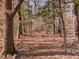 Picturesque walking trail through a serene forest landscape with lush trees and foliage at 305 Springtree Circle Cir, Fuquay Varina, NC 27526