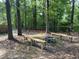 Spacious backyard featuring mature trees, a fire pit, and wooden benches at 503 Pine Run, Knightdale, NC 27545