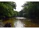 View of the Eno River surrounded by trees at 515 Wildwood Dr, Durham, NC 27712