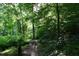 Wooded trail at 515 Wildwood Dr, Durham, NC 27712