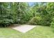 Backyard concrete basketball court and hoop, surrounded by lush, mature trees and green lawn at 6217 Battleford Dr, Raleigh, NC 27612