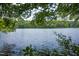 Scenic lake view framed by lush foliage, creating a tranquil and picturesque natural landscape at 657 Lakeview Dr, Stem, NC 27581