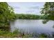 Scenic lake view surrounded by lush green trees and foliage at 657 Lakeview Dr, Stem, NC 27581