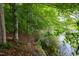 Serene lakeside view with lush greenery, showcasing the property's access to natural beauty and recreation at 657 Lakeview Dr, Stem, NC 27581