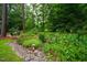 Beautiful garden with lush plants, a stone-lined creek, and diverse vegetation at 69 Margaret Pl, Chapel Hill, NC 27516