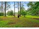 Expansive backyard with mature trees, providing a private and serene outdoor space at 6909 Hickory Dr, Raleigh, NC 27603