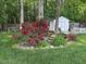Charming backyard with colorful roses, a white picket fence, and a storage shed at 70 Glen Oaks Drive Dr, Youngsville, NC 27596