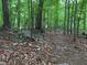 Wooded area featuring a natural trail with mature trees and foliage, creating a serene outdoor experience at 7811 Still Crossing Rd, Chapel Hill, NC 27516