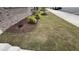 Front Yard featuring landscaping with mulch and green plants outside the property at 803 Courting St, Apex, NC 27523