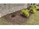 Landscaping with mulch and green plants outside the property at 803 Courting St, Apex, NC 27523