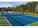 Enjoy a game of tennis on this well-maintained community court with trees in the background on a sunny day at 803 Courting St, Apex, NC 27523