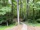 Gravel path winds through a lush, green backyard with mature trees and small foot bridge at 8620 Brookdale Dr, Raleigh, NC 27613