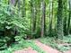 Gravel path winds through a lush, green backyard with mature trees at 8620 Brookdale Dr, Raleigh, NC 27613