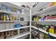 Walk-in pantry offering ample storage with organized shelving for food and household items at 1029 Dozier Way, Cary, NC 27518