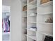 Custom closet with adjustable shelving, perfect for organizing shoes, bags, and clothing at 123 Trellingwood Dr, Morrisville, NC 27560