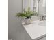 Modern bathroom featuring a decorative green plant on the vanity countertop at 1515 Tamarisk Ln, Durham, NC 27703