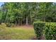 Lush backyard with mature trees and manicured bushes providing a serene outdoor space at 369 Roberts Ridge Dr, Cary, NC 27513