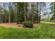 Secluded backyard with mature trees, lush greenery, and a well-maintained lawn, offering privacy and tranquility at 4416 Thistlehill Ct, Raleigh, NC 27616