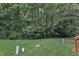 Backyard with green lawn, treeline and access to community amenities at 4658 Fawnbrook Cir, Raleigh, NC 27612
