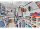 Spacious walk-in closet with custom shelving and ample storage for clothes and accessories at 533 Duchart Ln, Fuquay Varina, NC 27526