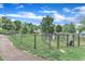 Community dog park area with grass, black metal fencing, trash cans, and rules posted at 151 Bridge St, Hillsborough, NC 27278