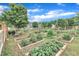Beautiful community garden with raised beds for planting vegetables, herbs, and flowers, surrounded by trees and a wooden fence at 151 Bridge St, Hillsborough, NC 27278