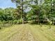 Long driveway leading to the home, bordered by mature trees at 183 Birnamwood Dr, Chapel Hill, NC 27516