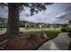 Charming neighborhood with well-maintained homes and lawns, and a tree in the foreground at 2109 Taramar Ln, Zebulon, NC 27597