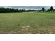 Spacious grassy yard with a view of neighboring houses at 4097 Cordiality Church Rd, Nashville, NC 27856