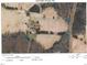 Aerial view highlighting the property's boundaries, home, and surrounding landscape in Granville County, NC at 8365 Aaron Creek Church Rd, Oxford, NC 27565