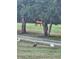A brown horse grazes peacefully in a pasture, with chickens roaming freely, under the shade of mature trees at 8365 Aaron Creek Church Rd, Oxford, NC 27565
