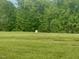 Lush green field with trees in the background creates a serene and private setting at 8365 Aaron Creek Church Rd, Oxford, NC 27565