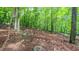Wooded backyard, featuring lush greenery and mature trees offering natural beauty and privacy, ideal for nature lovers at 1 Davie Ln, Chapel Hill, NC 27514