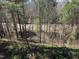 The backyard features a wooded area with mature trees and lush vegetation at 1004 Bridlemine Dr, Fuquay Varina, NC 27526