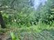 Lush backyard with verdant trees, foliage, and natural landscaping at 1004 Bridlemine Dr, Fuquay Varina, NC 27526