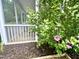 Inviting screened porch with a flowering shrub in the foreground for a tranquil outdoor experience at 1004 Bridlemine Dr, Fuquay Varina, NC 27526