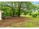 Spacious backyard with mature trees and ample space for outdoor activities at 1085 Bynum Rd, Pittsboro, NC 27312