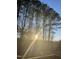 Picture perfect sunset view through the trees from the backyard at 118 Setter Pt, Clayton, NC 27520