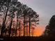 Stunning sunset view through the trees in the backyard at 118 Setter Pt, Clayton, NC 27520