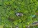 Aerial view of home nestled within a lush, green canopy of trees offering privacy at 1205 Elysian Way, Rougemont, NC 27572