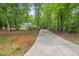 Long driveway leading to a charming home nestled among mature trees and landscaping at 1205 Elysian Way, Rougemont, NC 27572