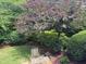 Landscaped backyard area with mature trees, a small lawn and space to relax outdoors at 1210 Brooks Ave, Raleigh, NC 27607
