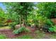 Serene backyard with mature trees, lush greenery, and a mulched area, enclosed by a wood fence at 150 Teal Dr, Youngsville, NC 27596