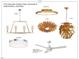 Selection of six modern light fixtures, including dining, mudroom, foyer, study, overhead and Gathering room at 1701 Burnette Garden Path, Raleigh, NC 27612