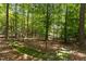 Tranquil wooded lot featuring a mossy rock trail, creating a serene and natural landscape at 215 Collinson Dr, Chapel Hill, NC 27514